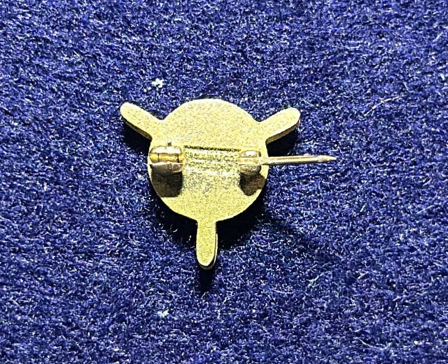 South African Civil Aviation - TWA PIN