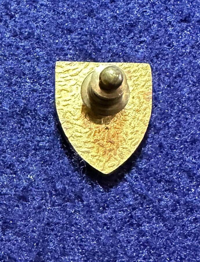 SA ARMY - ARMOUR SCHOOL PIN - VARIATION