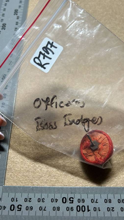 RHODESIA REGIMENT - OFFICERS BOSS BERET BADGE WITH SILVER LIONS