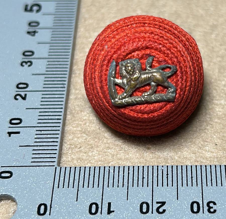 RHODESIA REGIMENT - OFFICERS BOSS BERET BADGE WITH SILVER LIONS