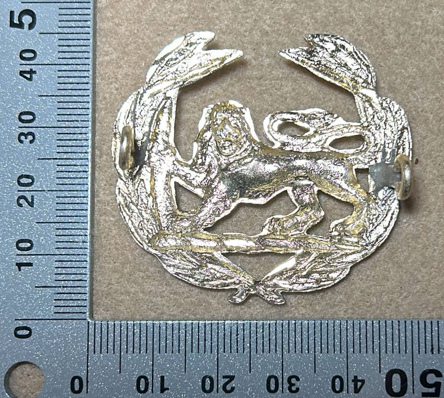 RHODESIA - WARRANT OFFICER ANNODISED BADGE