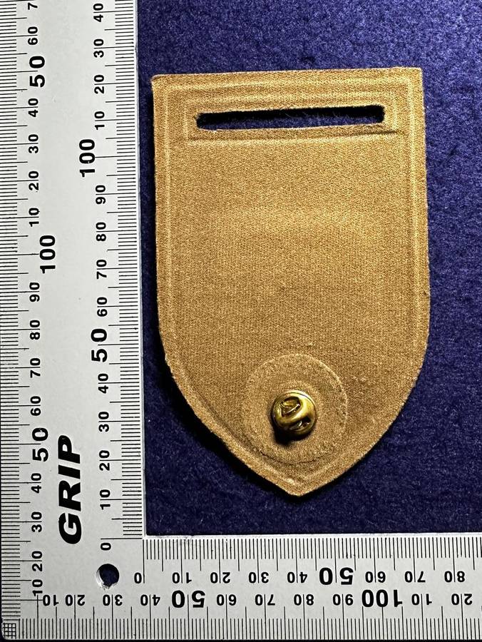 SADF Military Intelligence B Squadron Tupper Flash