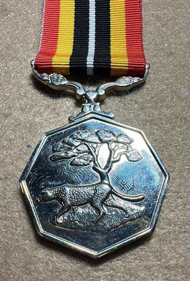 SA Military Decorations & Medals - Southern Africa Medal - Full Size - Numbered 58572