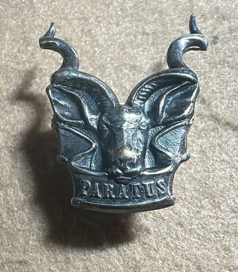 SWATF Area Force (Territorial Force) - Cap/Beret Badge