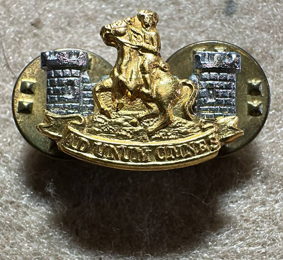 SWATF Regiment Namatoni Collar Badge - Left Facing