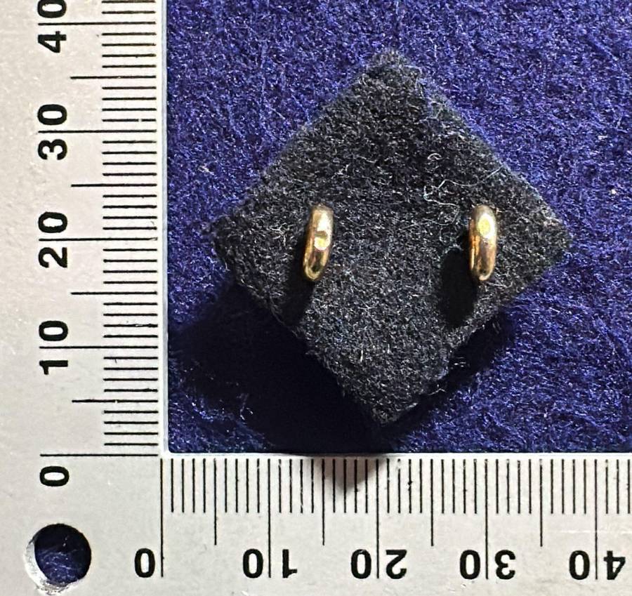 Rhodesian ARMY Officer Rank (pip) with backing felt