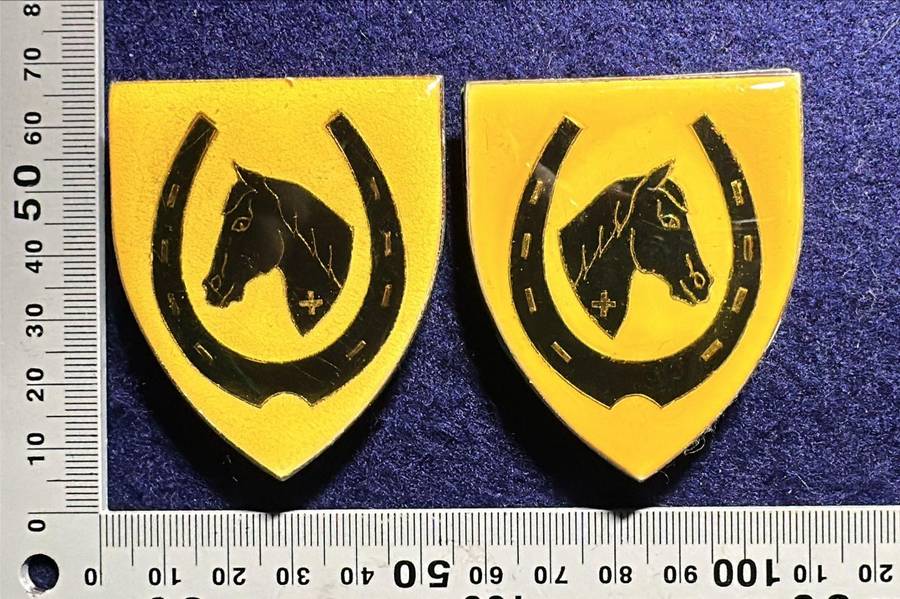 SADF Equestrian Centre Shoulder Flashes - Pair