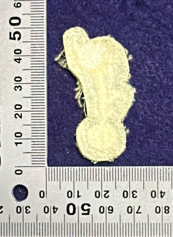 Rhodesian Army - Proficiency Badge - Signals Sergeants - Field uniform - 1960 to 1980