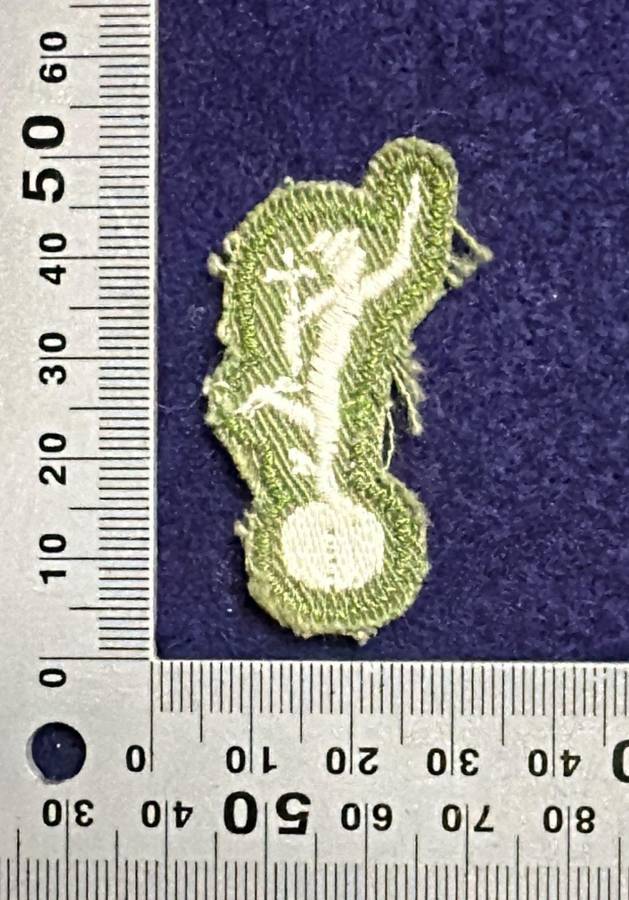 Rhodesian Army - Proficiency Badge - Signals Sergeants - Field uniform - 1960 to 1980