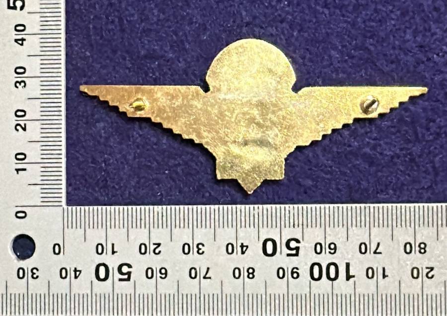 SAP - Taskforce Para Qualification Badge - Metal - 2 pins