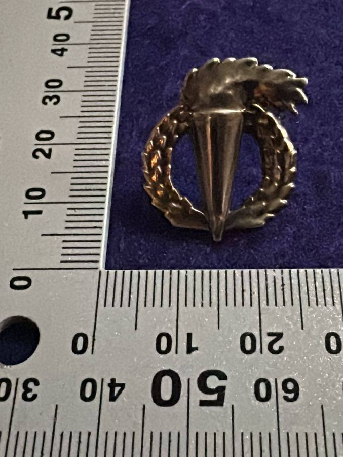 SA ARMY - Chrome Pathfinders Qualification Badge
