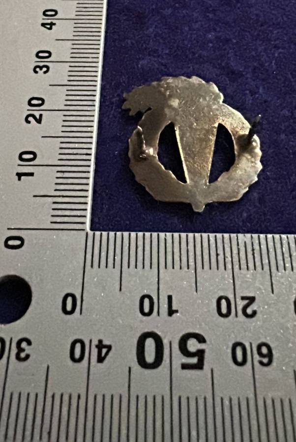 SA ARMY - Chrome Pathfinders Qualification Badge