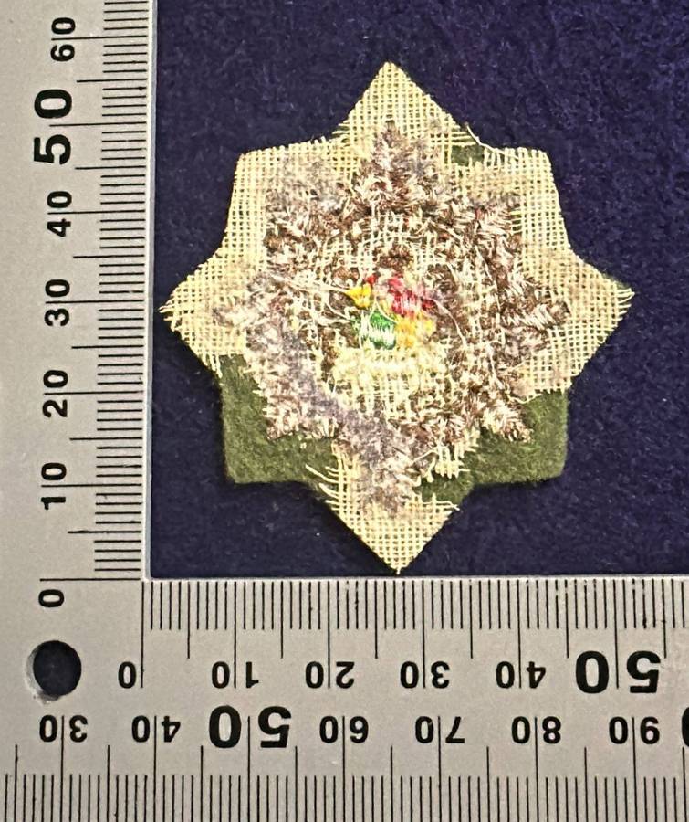 SAP/SWAP - Beret / Cap Badge - EMBROIDERED - Variant
