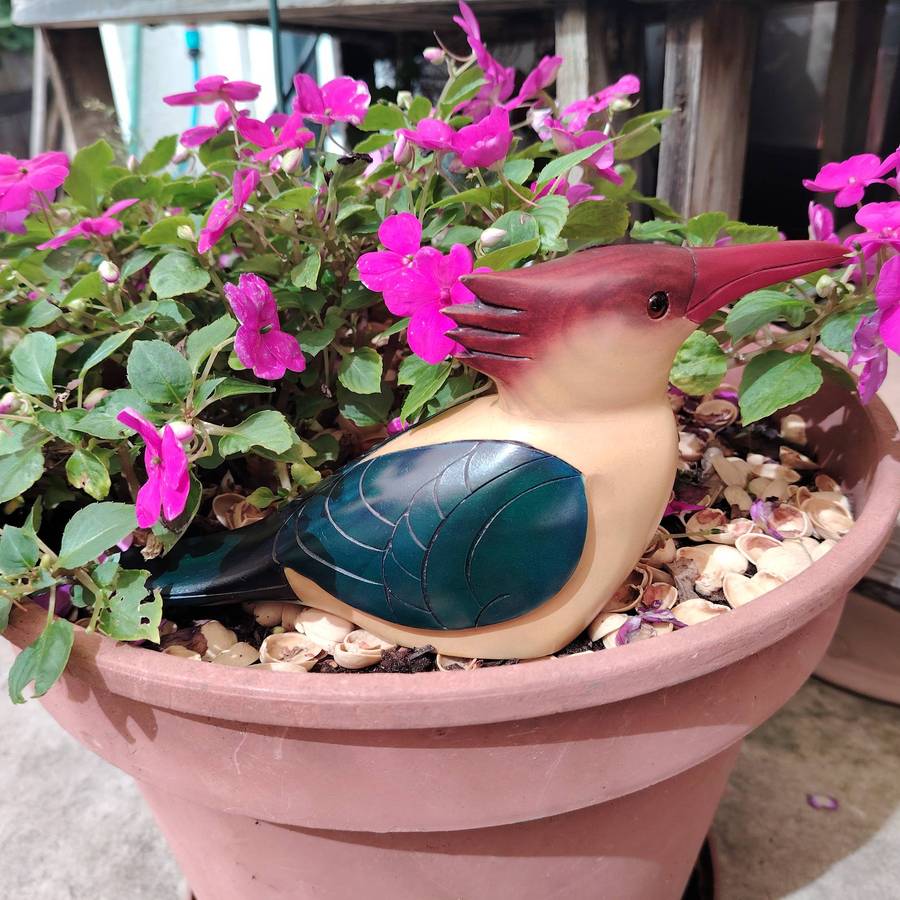 Feathers of Knysna Gallery carved and hand painted Female Kingfisher