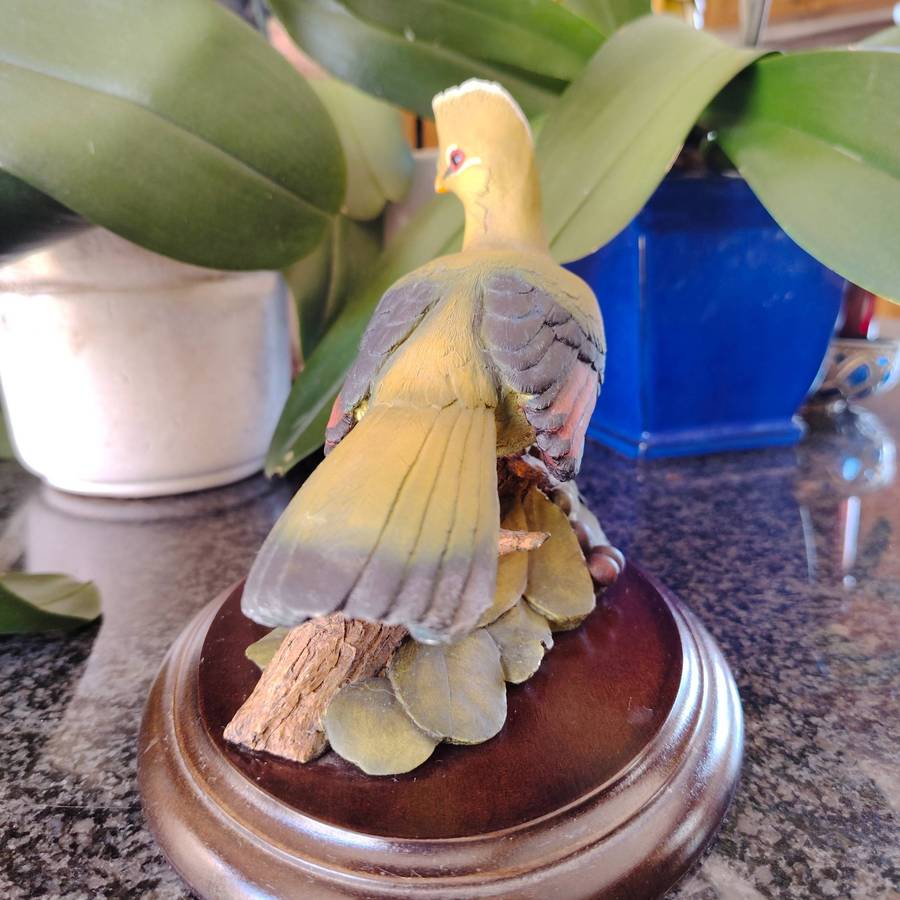 Limited edition Silkwood on Knysna Trust Knysna Lourie figurine