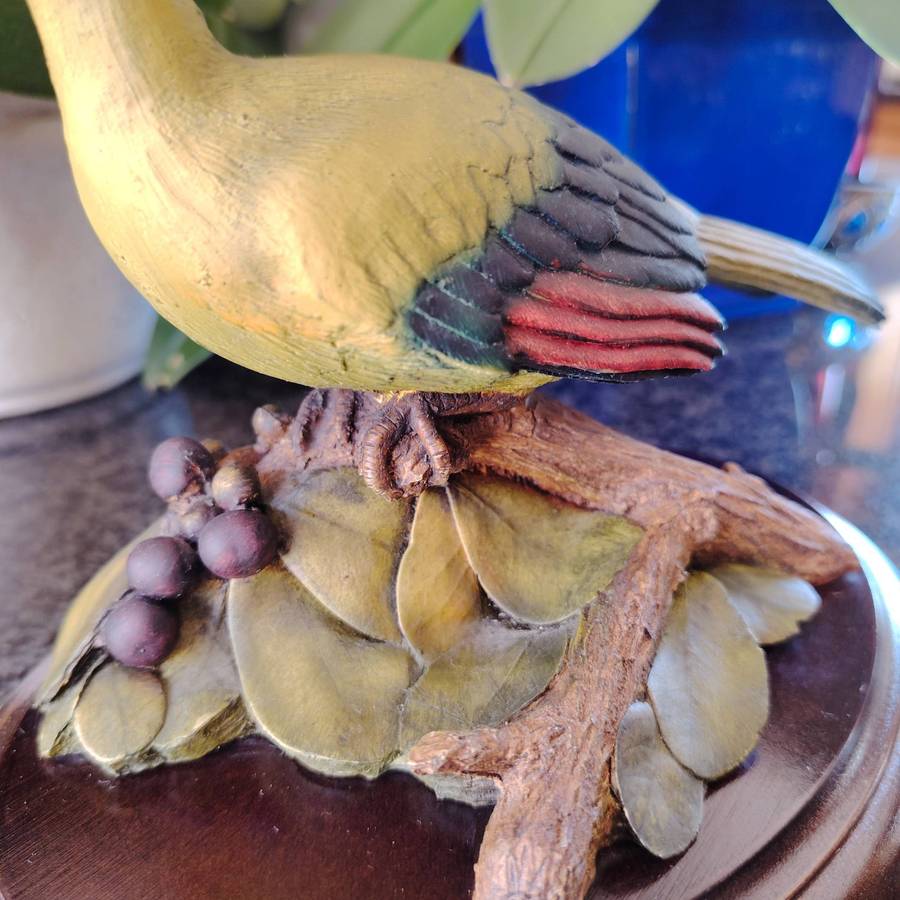 Limited edition Silkwood on Knysna Trust Knysna Lourie figurine