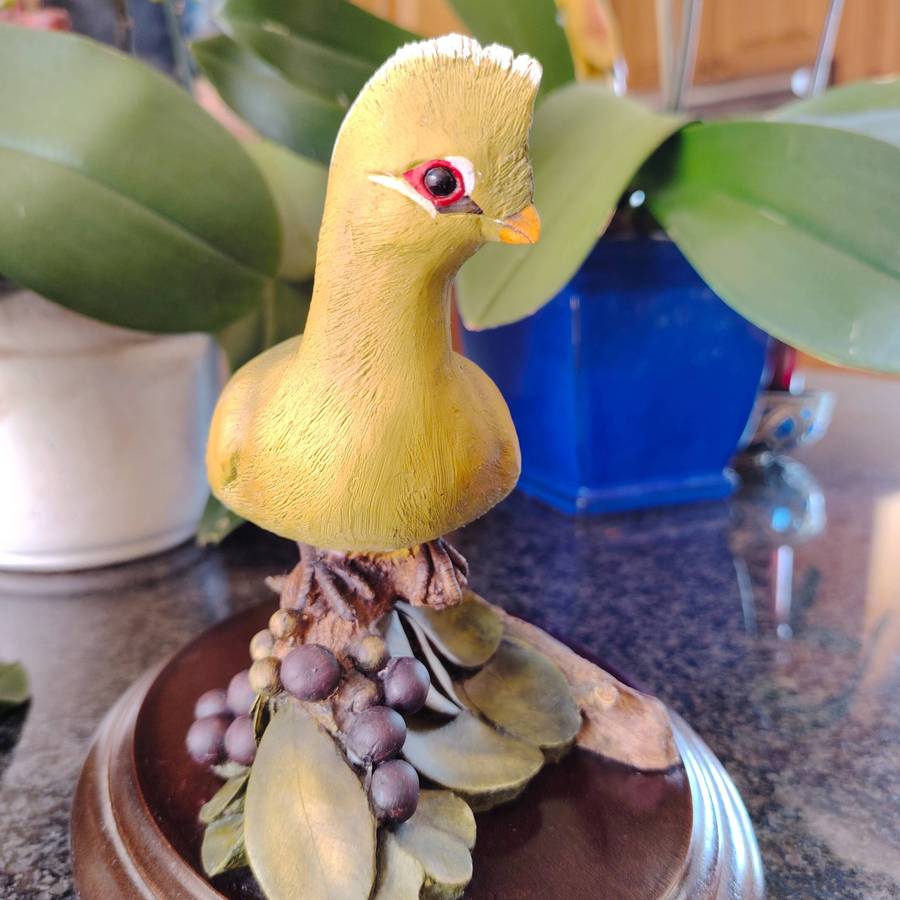 Limited edition Silkwood on Knysna Trust Knysna Lourie figurine