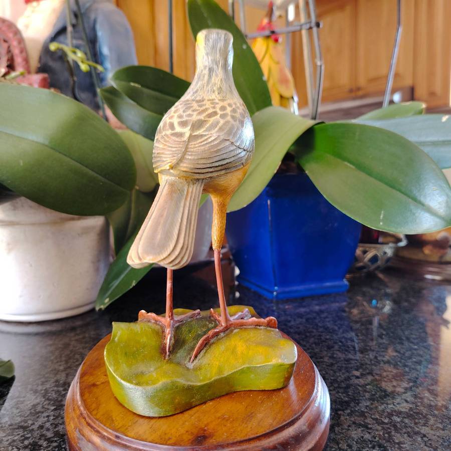 The Artist Collection Hummingbird Studios Cape Long Claw