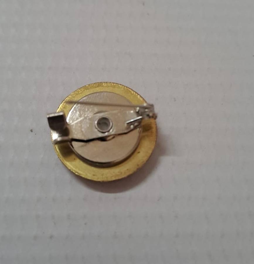 South Africa Pins - Vlam 2017 (metal/silver-gold color)