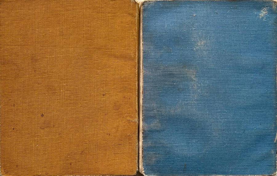 Protected Wild Flowers of the Cape Province Volume 1 and Volume 3