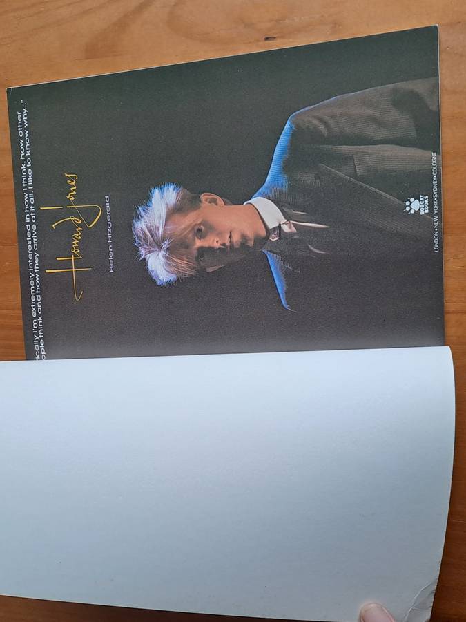 Howard Jones - by Helen Fitzgerald - 1985