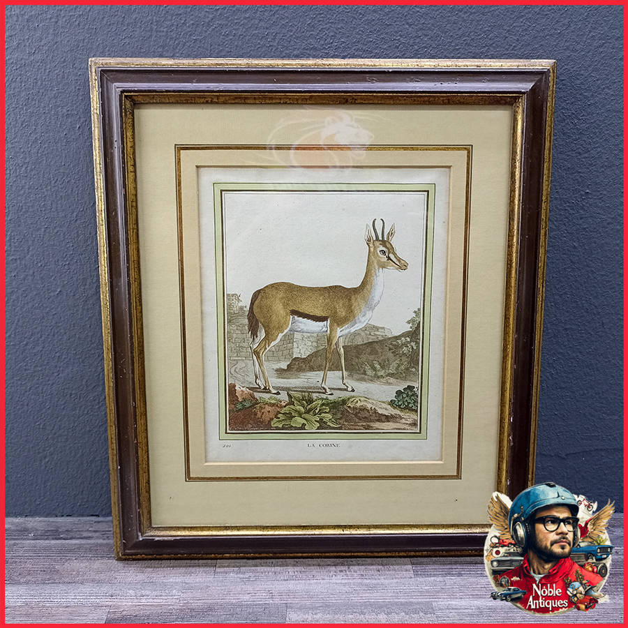 Framed Antique Colored Etch La Coring