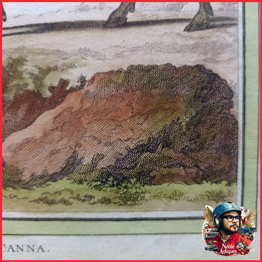 Framed Antique Colored Etch Le Canna