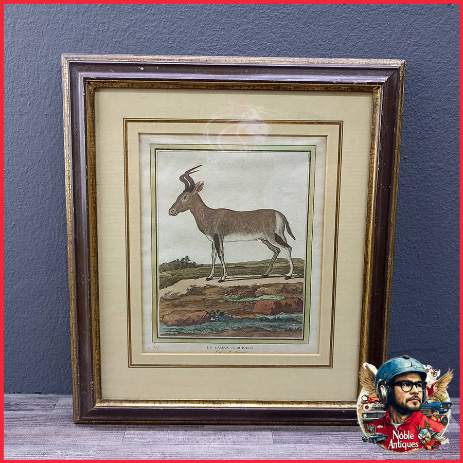 Framed Antique Colored Etch Le Camaahubale