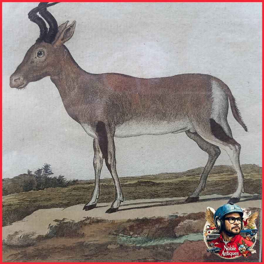 Framed Antique Colored Etch Le Camaahubale