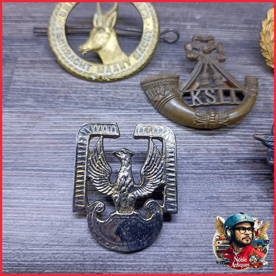 South African Military Badge Collection