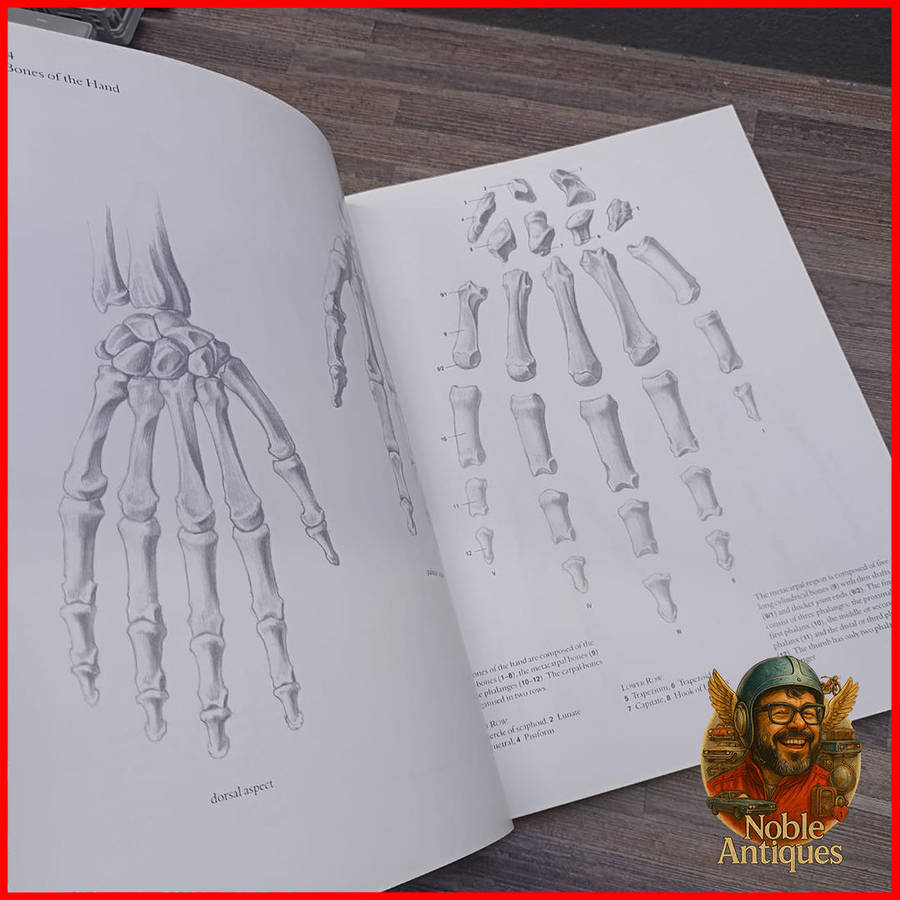 Large Hardcover HUMAN ANATOMY FOR ARTISTS