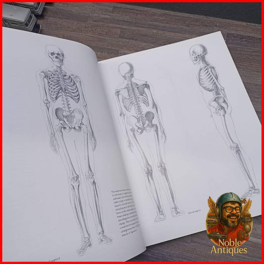 Large Hardcover HUMAN ANATOMY FOR ARTISTS