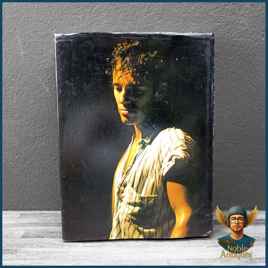Bruce Springsteen: Born in the U.S.A. by Robert Hilburn