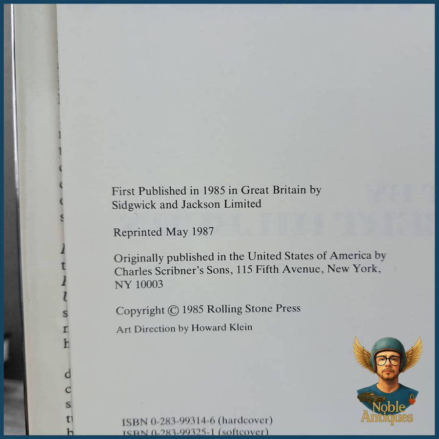 Bruce Springsteen: Born in the U.S.A. by Robert Hilburn