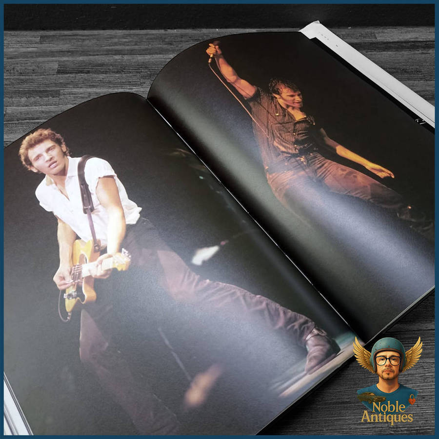 Bruce Springsteen: Born in the U.S.A. by Robert Hilburn