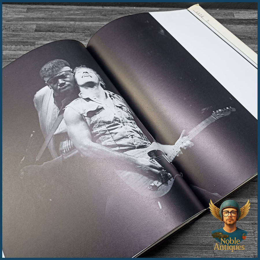 Bruce Springsteen: Born in the U.S.A. by Robert Hilburn
