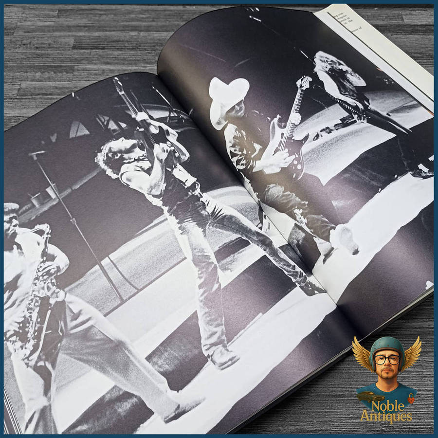 Bruce Springsteen: Born in the U.S.A. by Robert Hilburn