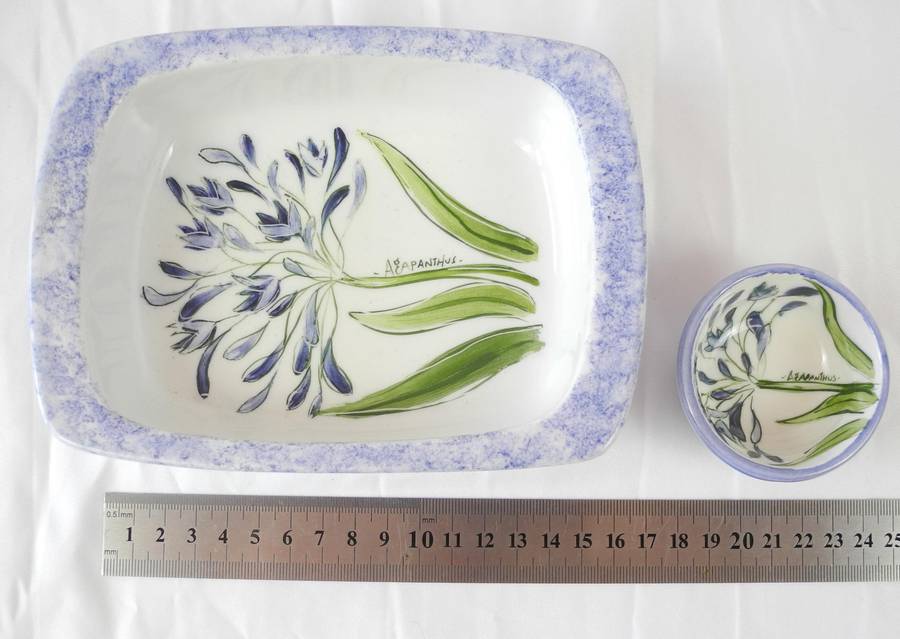 Hand painted ceramic dishes featuring the Agapanthus