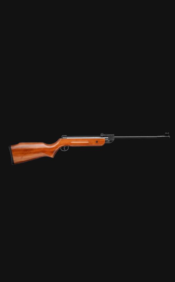 Air Rifle