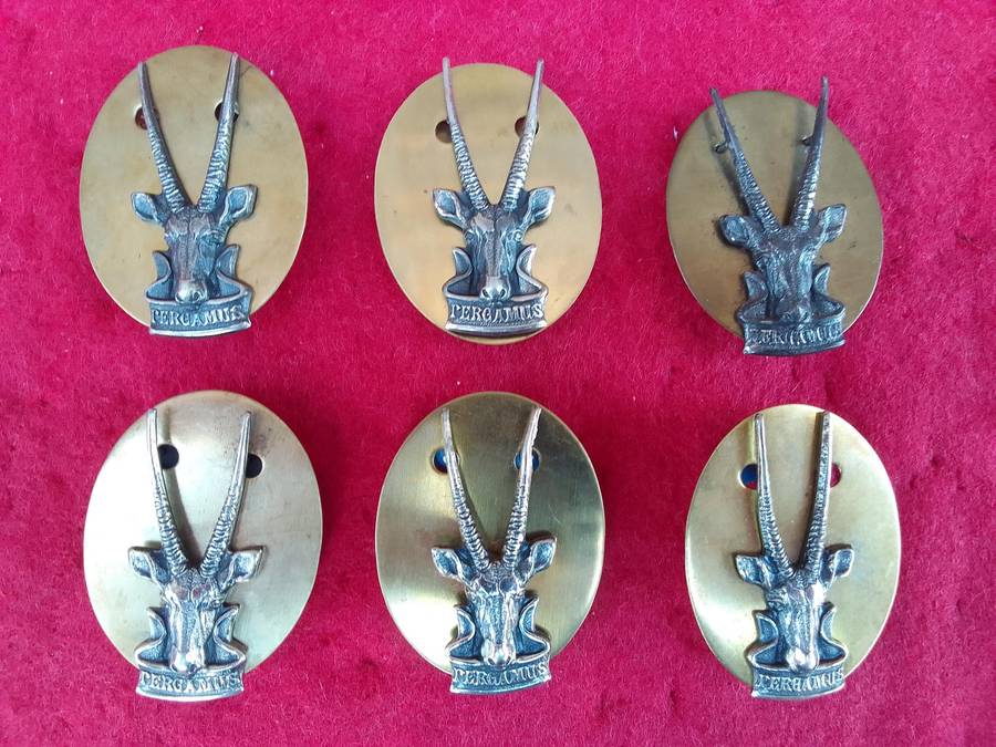 6 x SWATF HQ cap badges