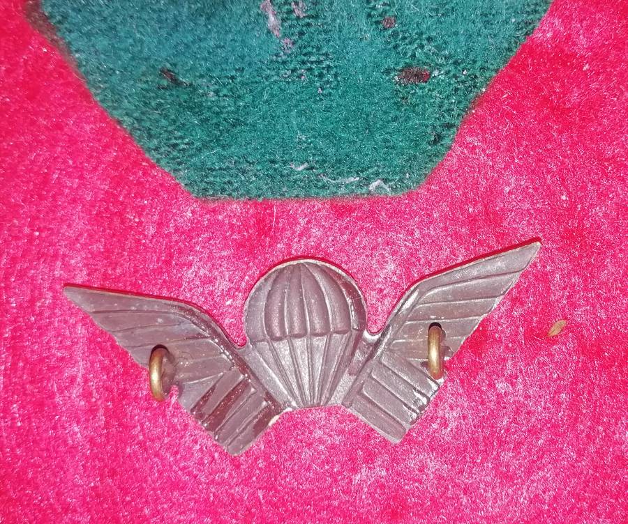 Rhodesian Selous Scouts para wings .