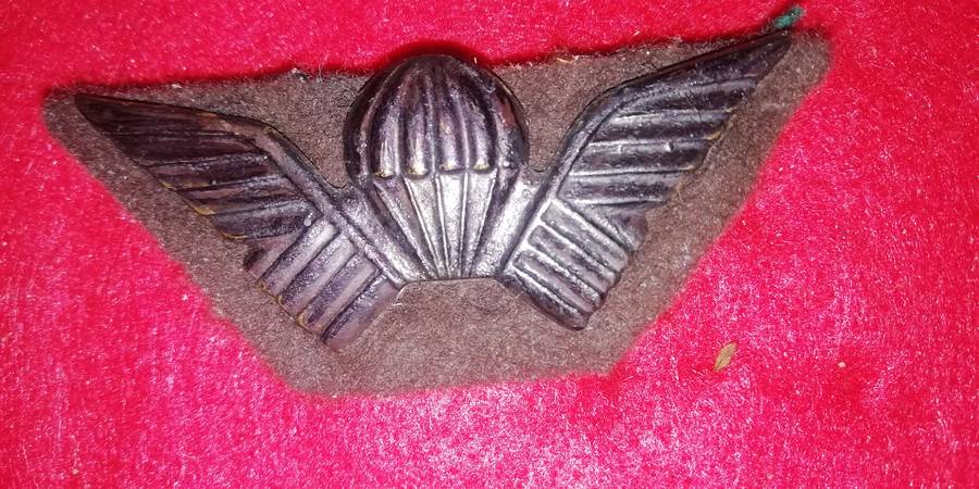 Rhodesian Selous Scouts para wings .