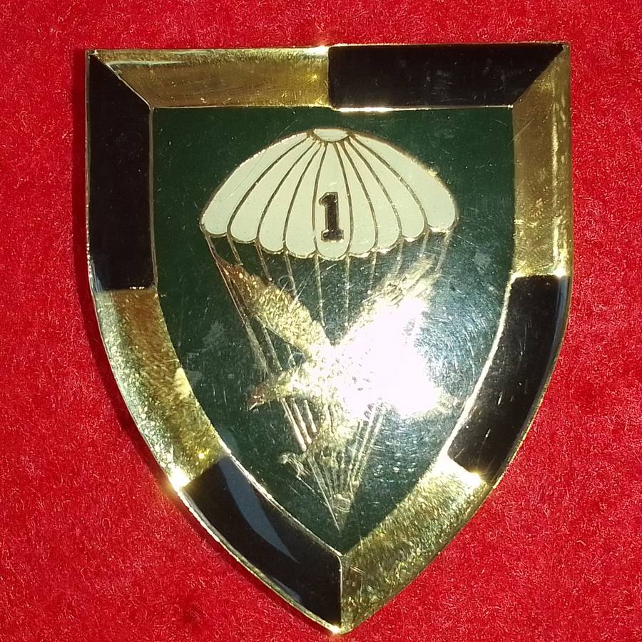 1 Parachute Battalion Flash