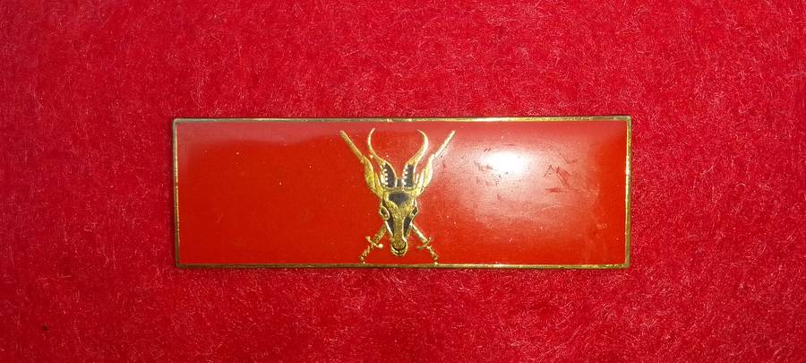 ARMY HQ COMMAND BAR ALL PINS