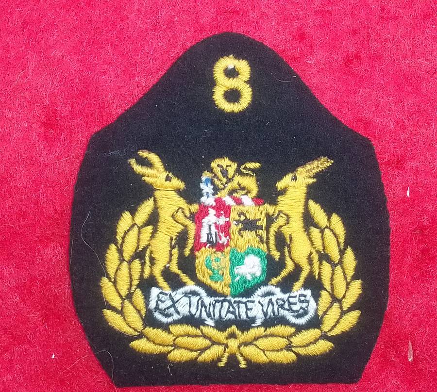 8 DIVISION SERGEANT MAJOR RANK BADGE