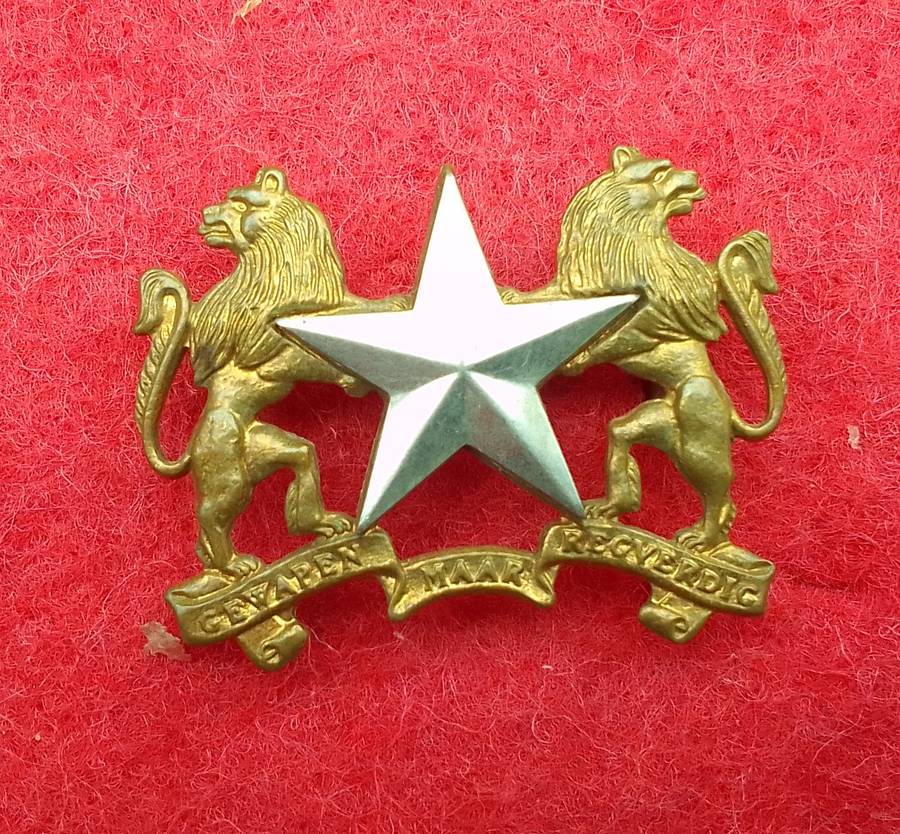 REGIMENT MOLOPO CAP BADGE