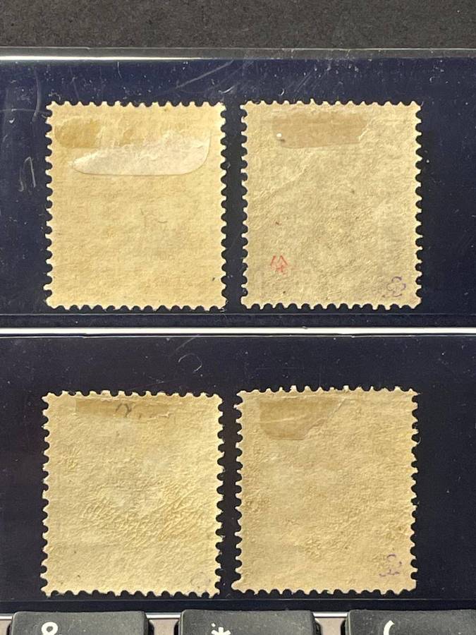 ICELAND - 1876 OFFICIALS inscription 'PJONUSTU POSTFRIM' MM