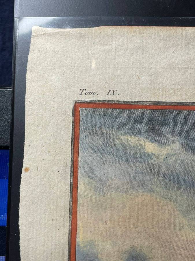 A STUB-BILLED PENGUIN / MANCHOT A BEC TRONQUE ORIGINAL BUFFON COPPER PLATE ENGRAVING 1766 APPROX.