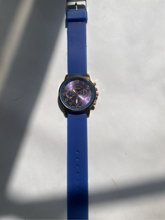 Watch - Geneva Platimum