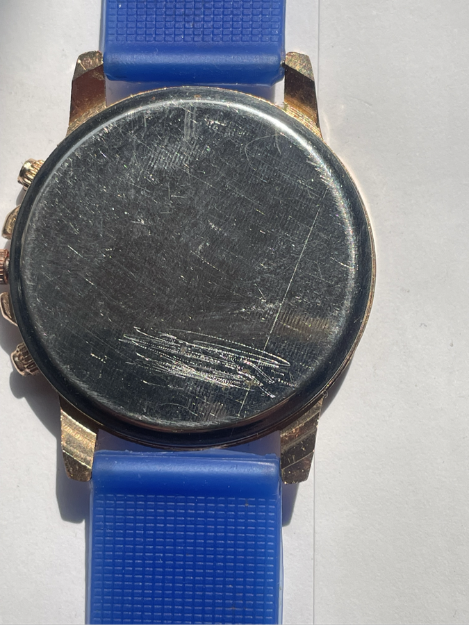 Watch - Geneva Platimum